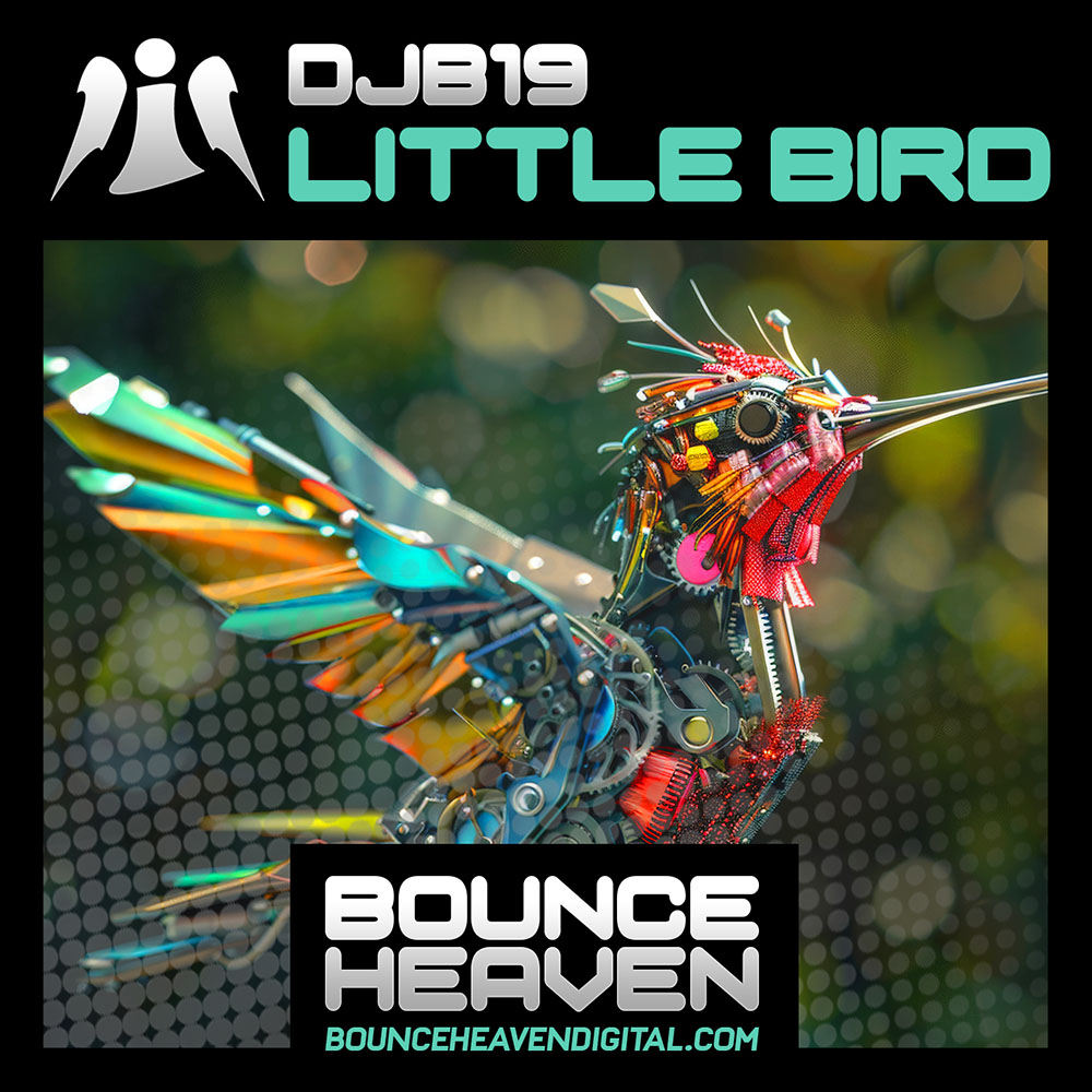 DJB19 - Little Bird